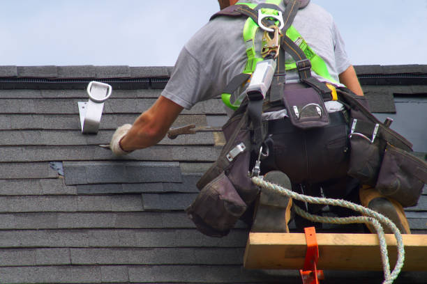 Best Fascia and Soffit Installation  in David City, NE