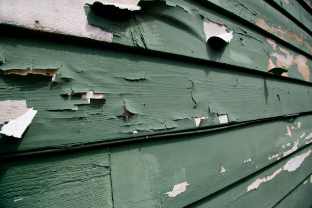 Affordable siding repair and maintenance services in David City, NE